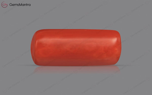 Red Coral - 4.06 Carats