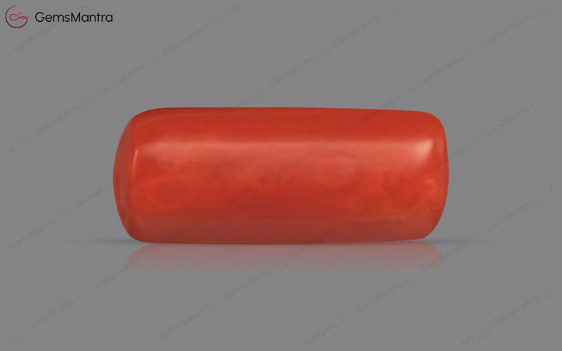Red Coral - 4.06 Carats