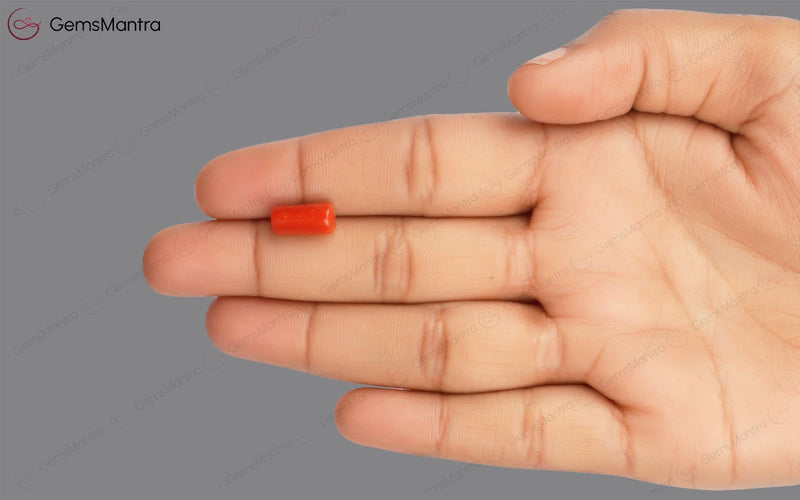 Red Coral - 4.06 Carats