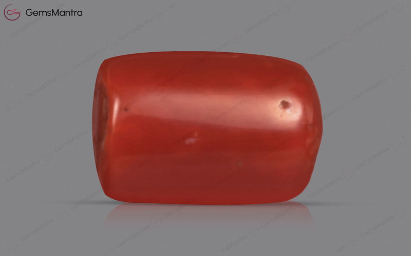 Red Coral - 4.31 Carats