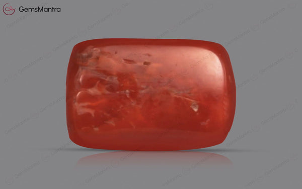 Red Coral - 4.31 Carats