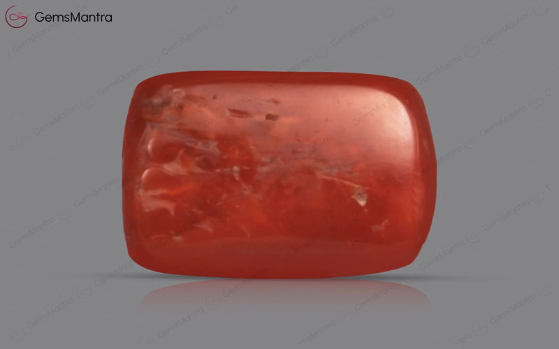 Red Coral - 4.31 Carats