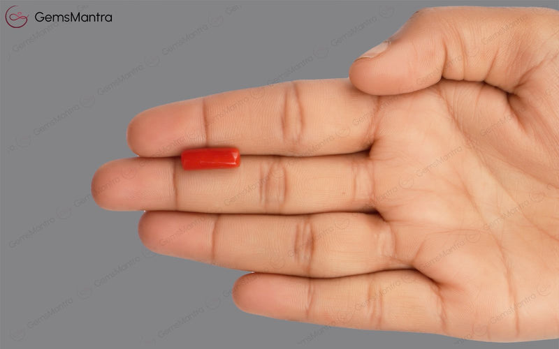 Red Coral - 4.31 Carats