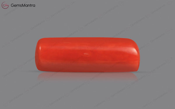 Red Coral - 4.05 Carats