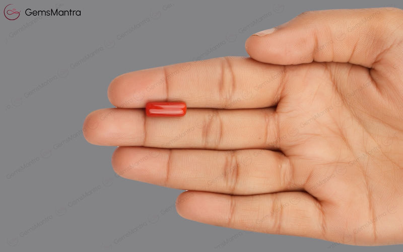 Red Coral - 4.05 Carats