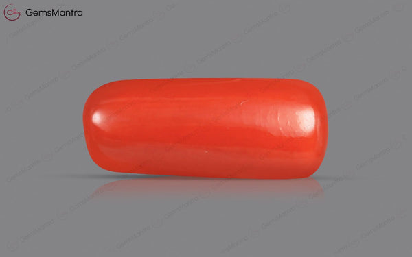Red Coral - 4.44 Carats