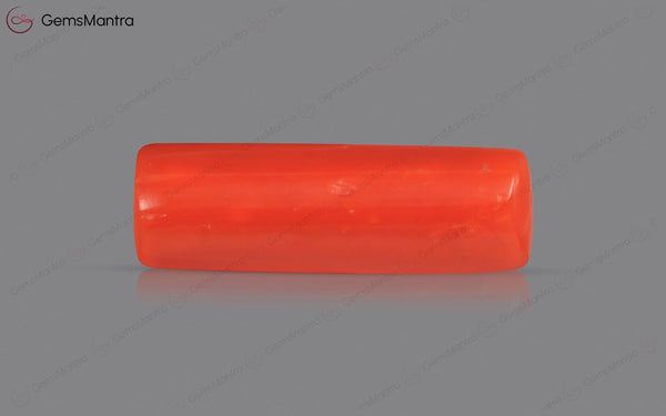 Red Coral - 4.28 Carats