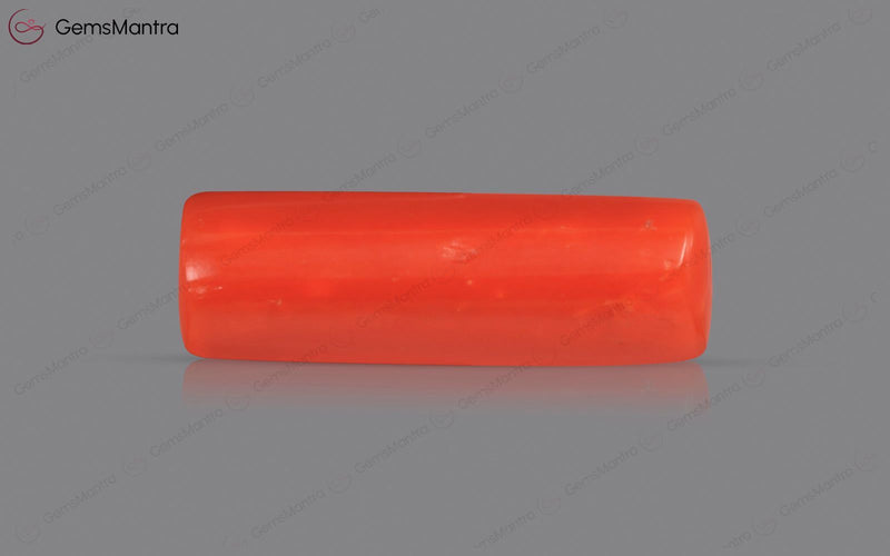 Red Coral - 4.28 Carats