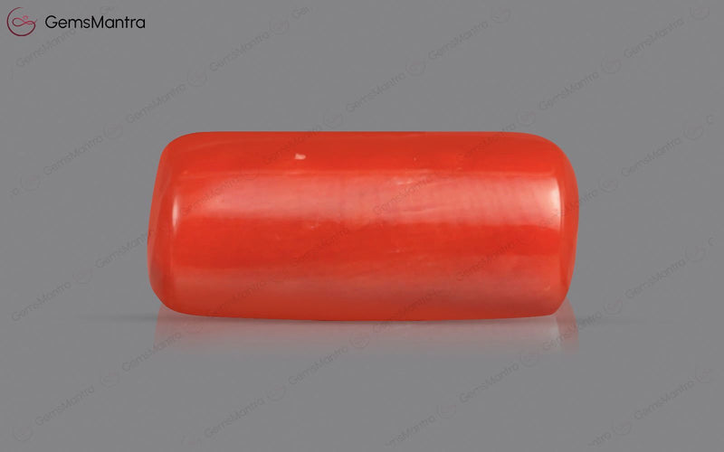 Red Coral - 4.04 Carats