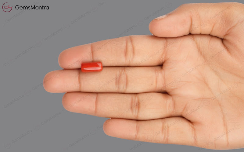 Red Coral - 4.04 Carats