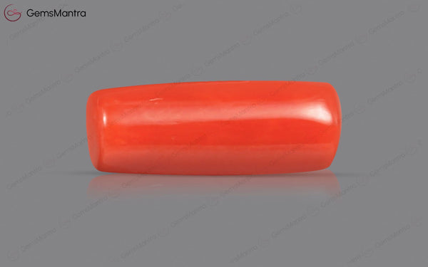 Red Coral - 4 Carats