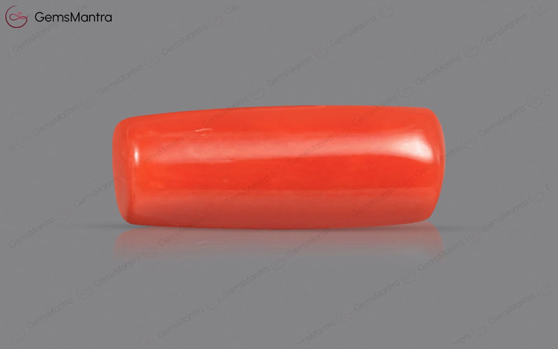 Red Coral - 4 Carats