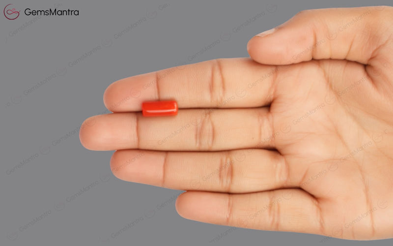 Red Coral - 4 Carats