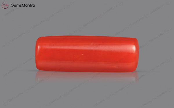 Red Coral - 4.08 Carats