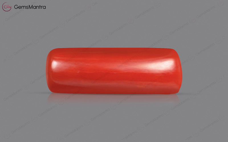 Red Coral - 4.08 Carats