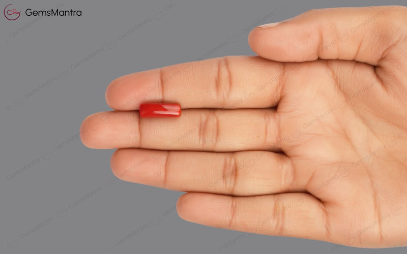 Red Coral - 4.08 Carats