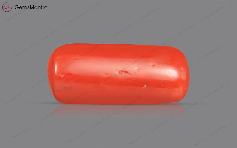 Red Coral - 4.76 Carats