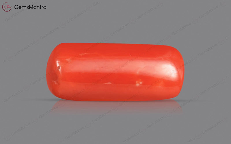 Red Coral - 4.76 Carats