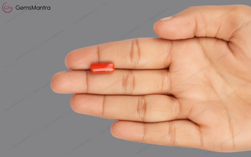 Red Coral - 4.76 Carats