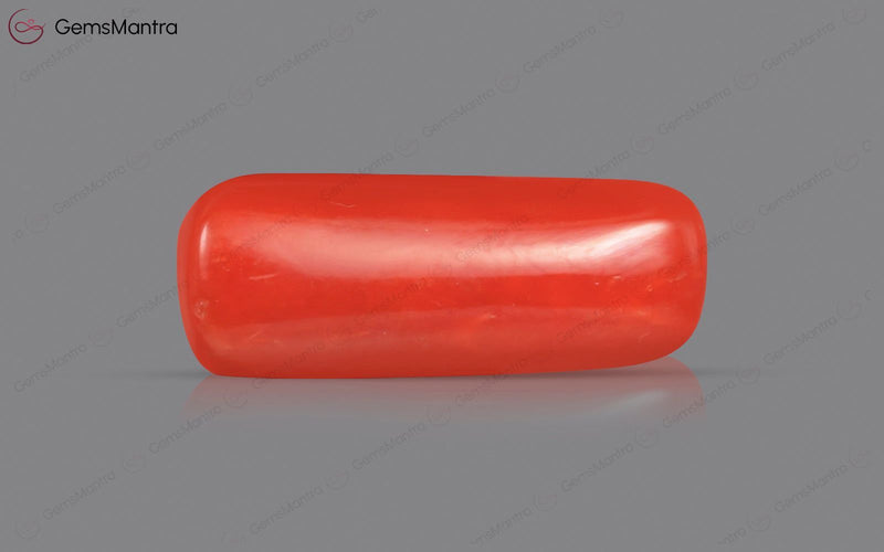 Red Coral - 4.62 Carats