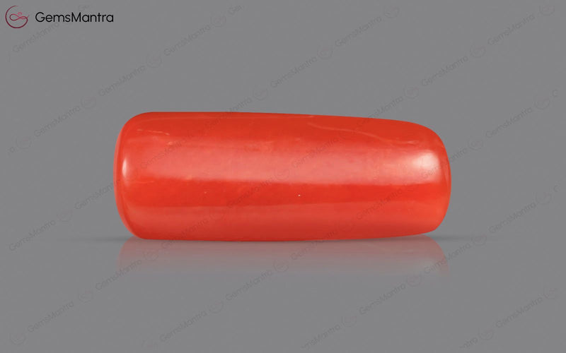 Red Coral - 4.62 Carats