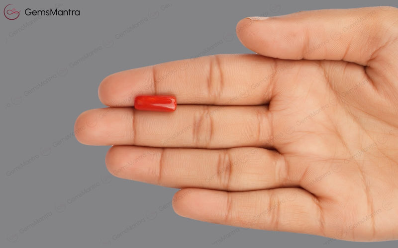 Red Coral - 4.62 Carats