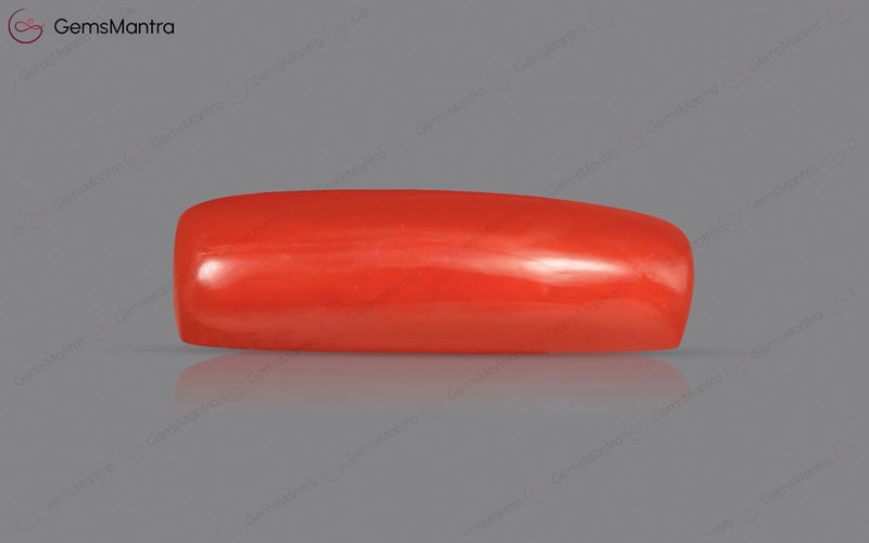 Red Coral - 4.38 Carats
