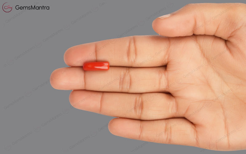 Red Coral - 4.38 Carats