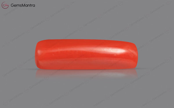 Red Coral - 4.97 Carats