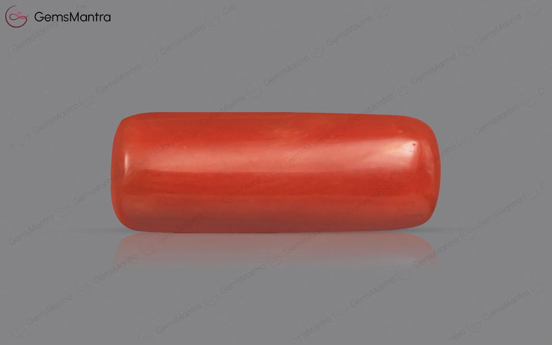 Red Coral - 4.87 Carats