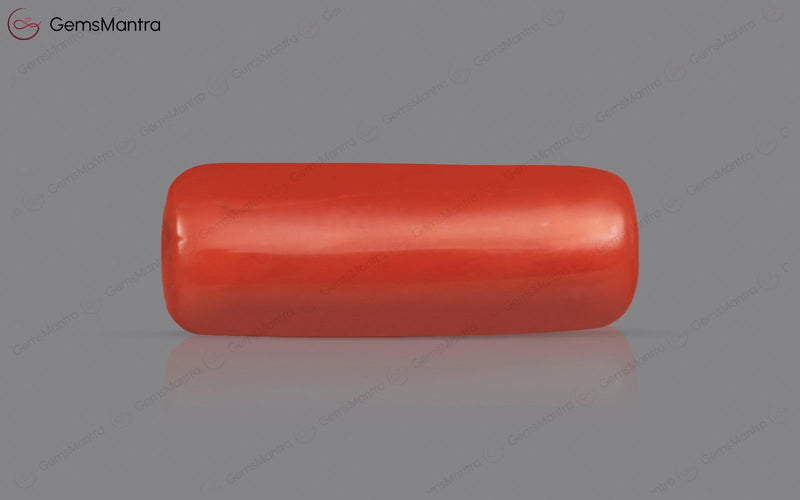 Red Coral - 4.87 Carats