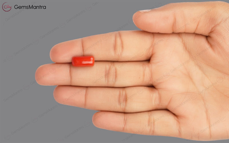 Red Coral - 4.87 Carats