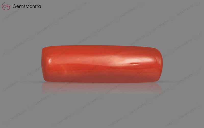 Red Coral - 4.66 Carats