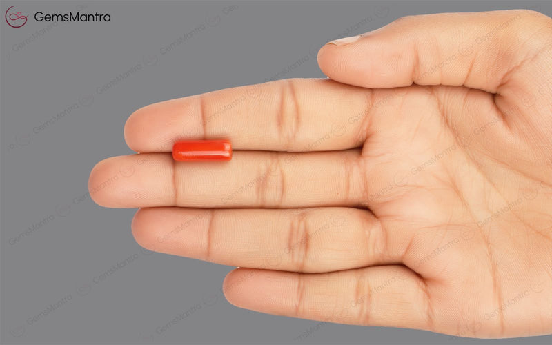 Red Coral - 4.66 Carats