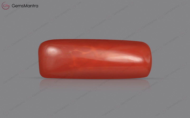 Red Coral - 4.75 Carats
