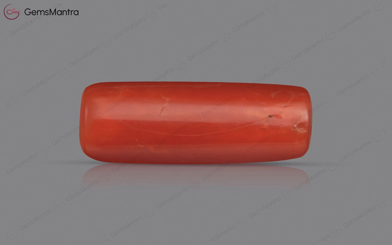 Red Coral - 4.75 Carats