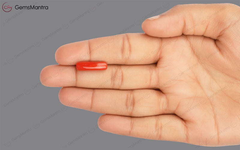 Red Coral - 4.75 Carats