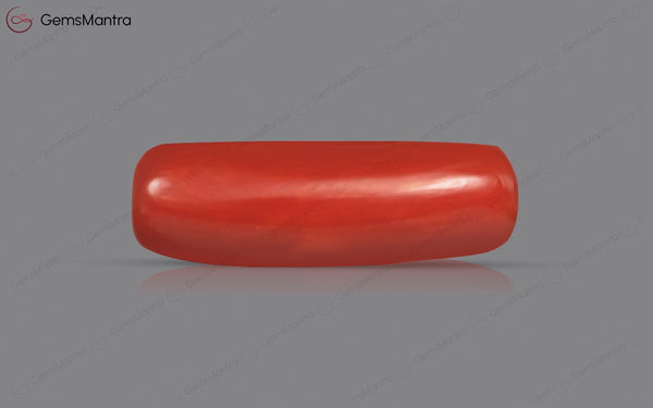 Red Coral - 4.92 Carats