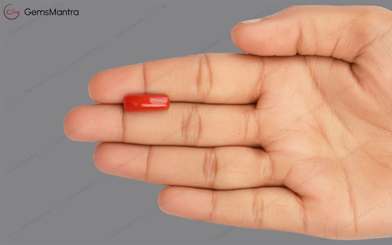 Red Coral - 4.92 Carats