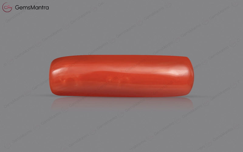 Red Coral - 4.77 Carats