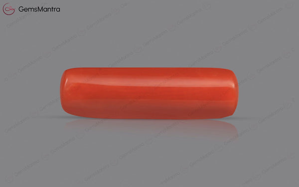 Red Coral - 4.77 Carats