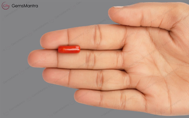 Red Coral - 4.77 Carats