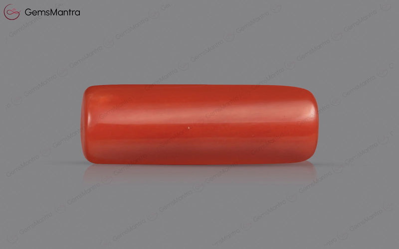 Red Coral - 4.95 Carats