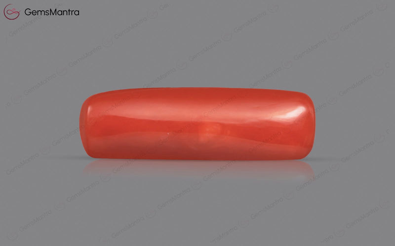 Red Coral - 5.46 Carats