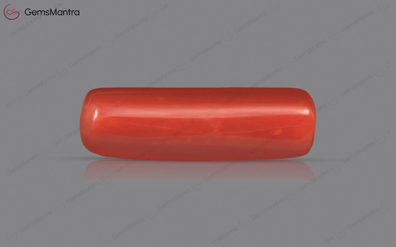 Red Coral - 5.46 Carats