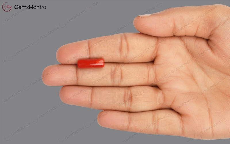 Red Coral - 5.46 Carats