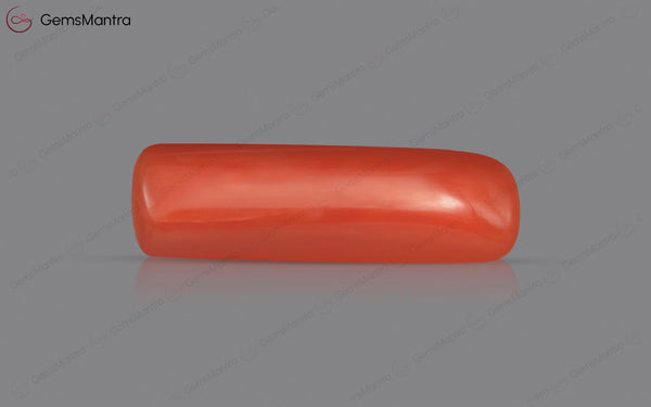 Red Coral - 5.57 Carats