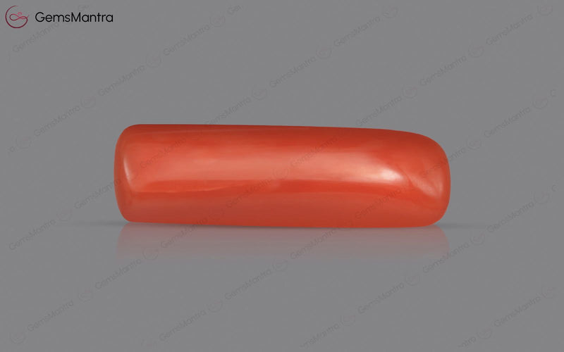 Red Coral - 5.57 Carats