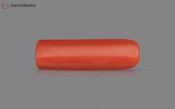 Red Coral - 5.57 Carats