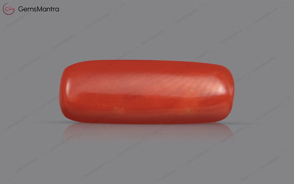 Red Coral - 5.07 Carats